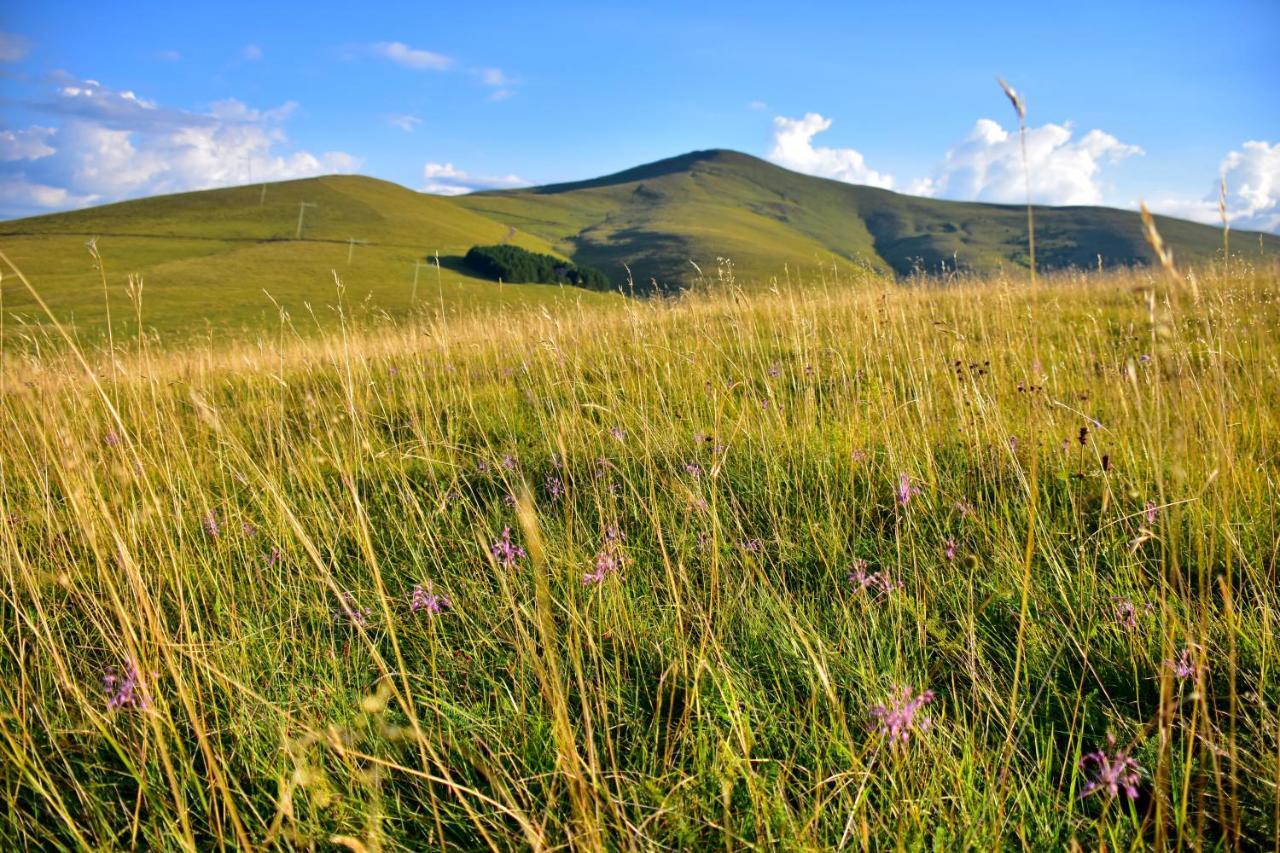 Sedmica Zlatibor Vip Bogic Apartment Bagian luar foto